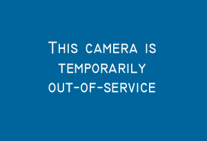 Cambie St & W King Edward Ave - W